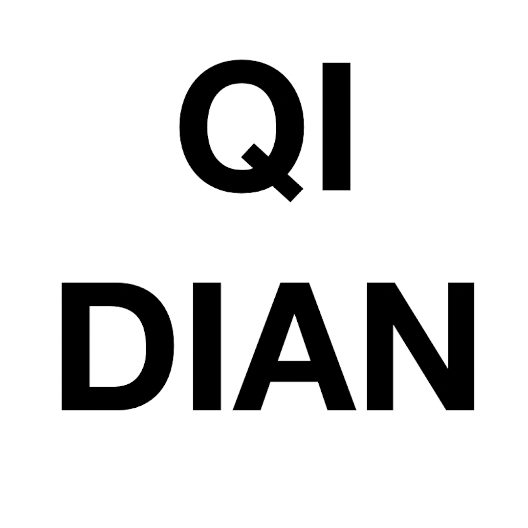 QIDIAN Logo